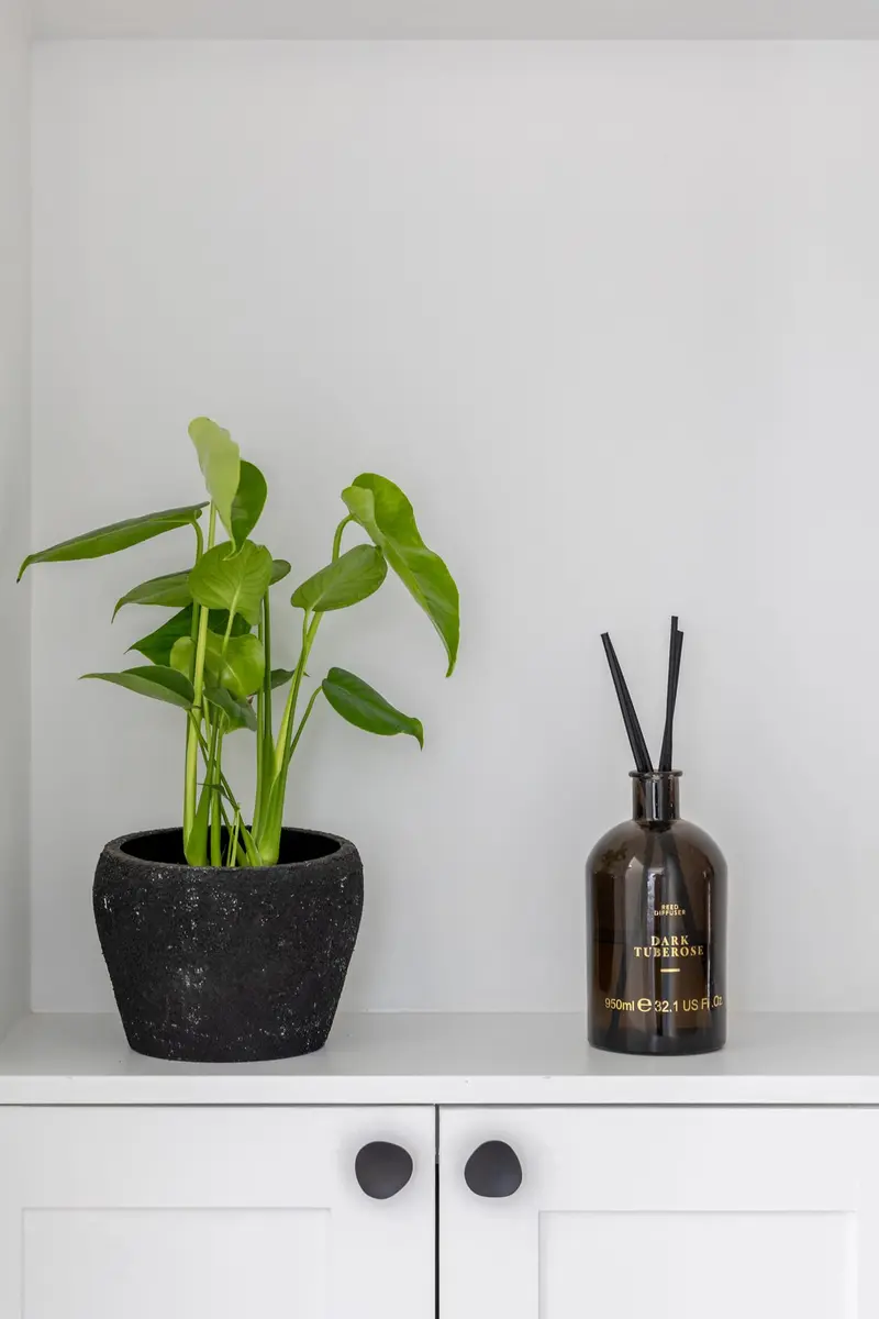 Styled shelf with a plant and diffuser