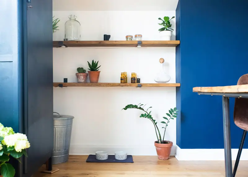 Reclaimed scaffold-board shelves with plants