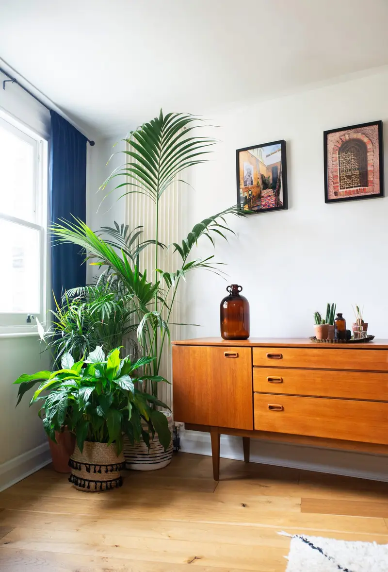 Mid-century sideboard with palms in vintage terracotta pots