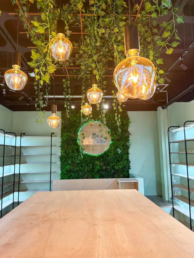 Hanging greenery and globe lights over the central counter