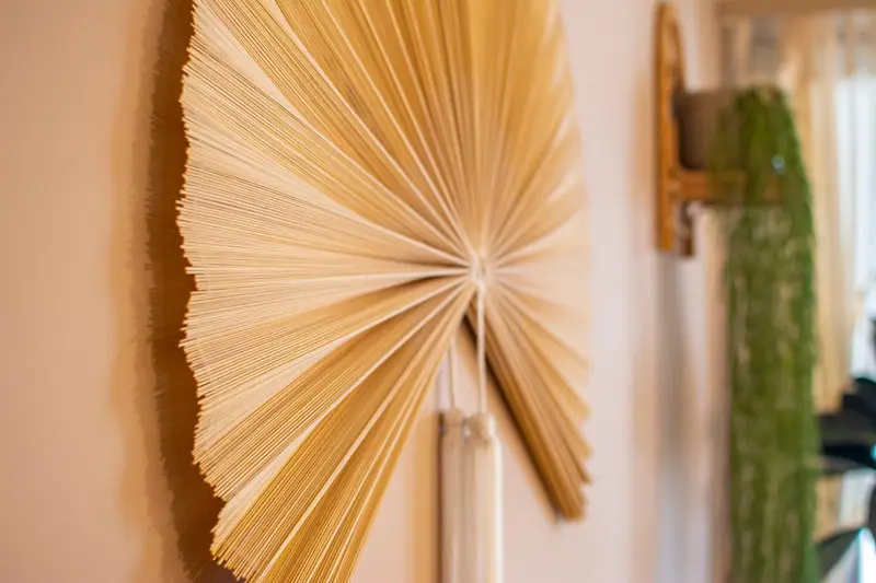 Dried palm fan wall decoration