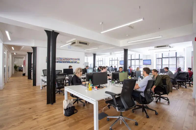 Rows of desks in the refurbished Trussle office