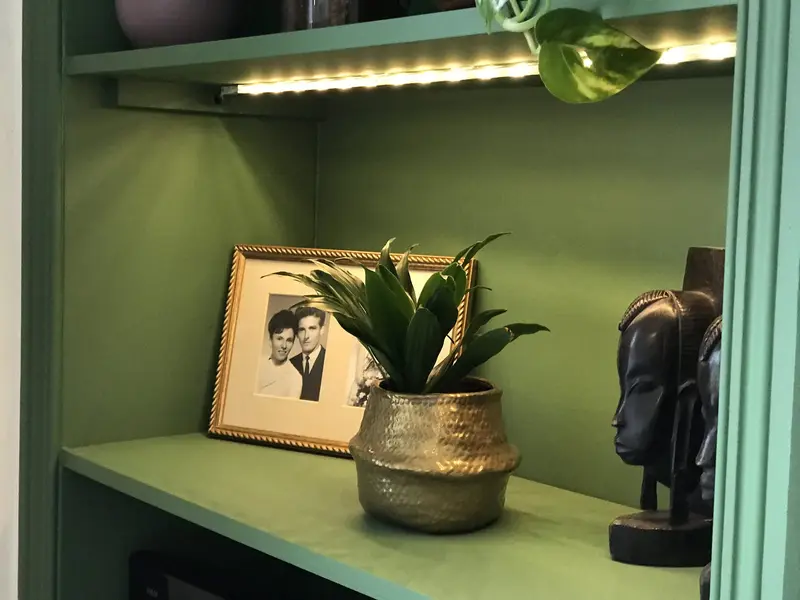 Sage green shelving with a framed photograph and plant