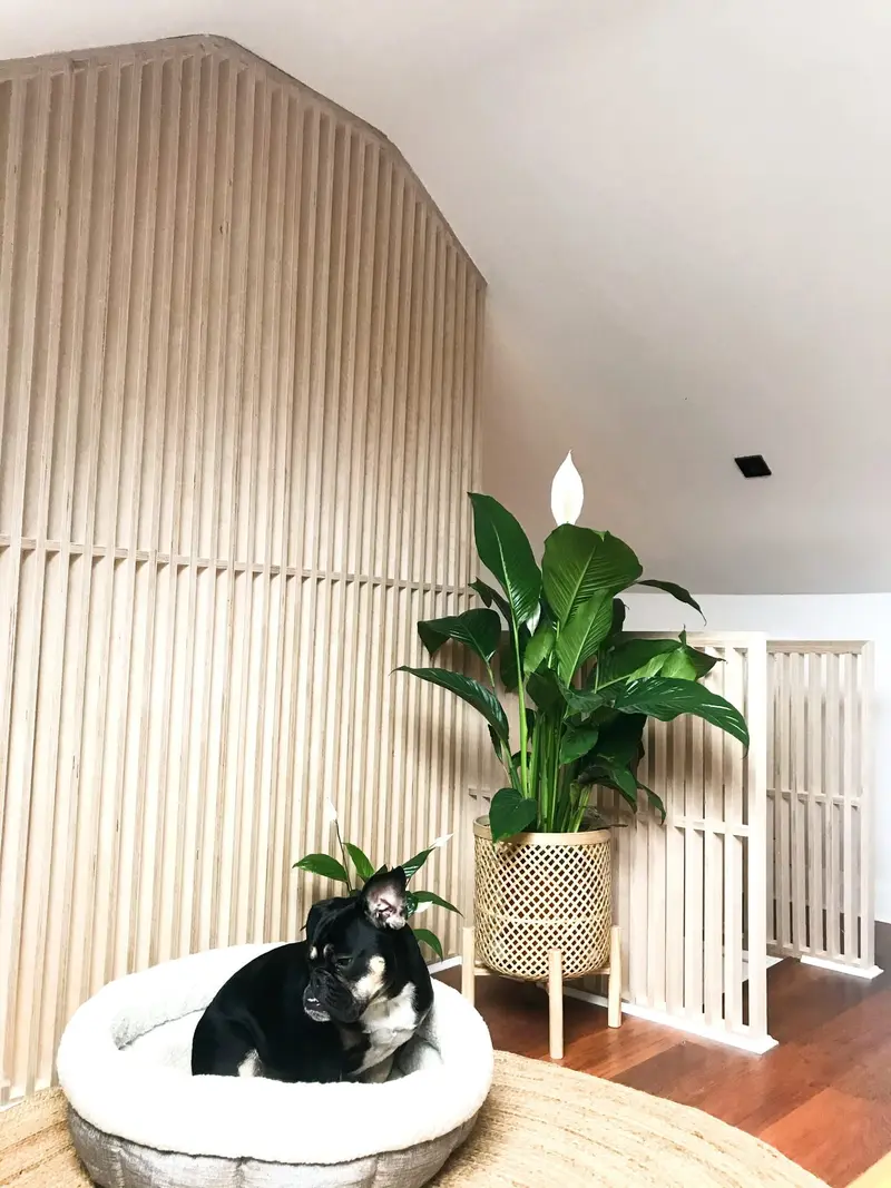 Birch plywood slatted banister in a bright landing